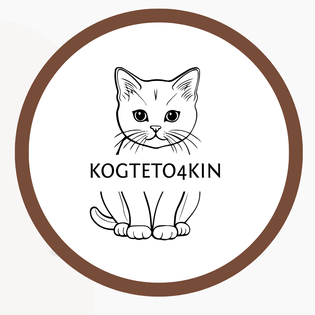 Логотип kogteto4kin